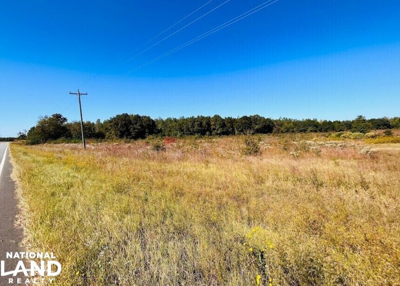 More Photos Of 10540 GA Highway 273, Jakin Land For Sale