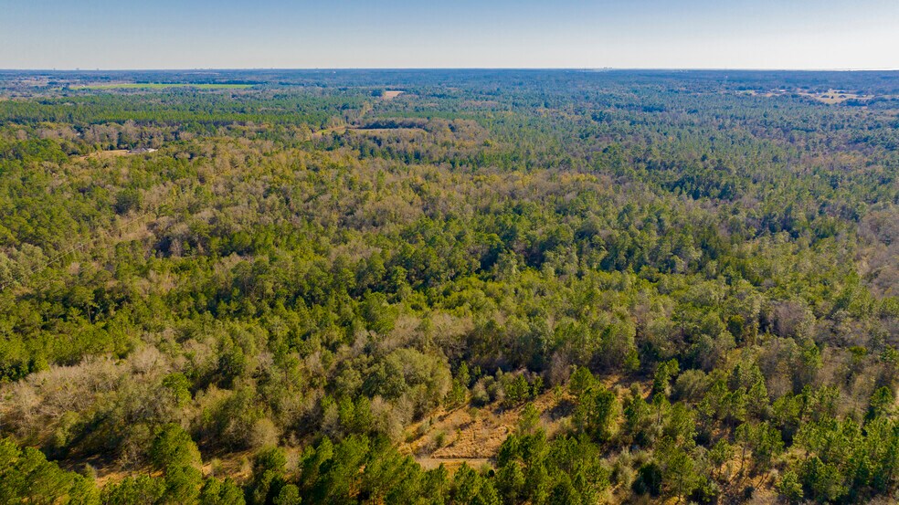 More Photos Of 12960 County Road 48, Silverhill Land For Sale