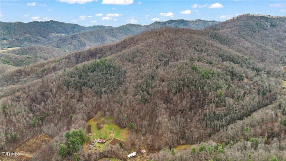 More Photos Of TBD Stockton Rd rd, Flag Pond Land For Sale