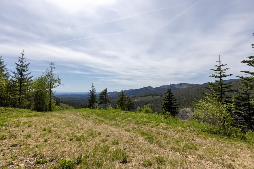 More Photos Of 0 Snag Mountain Road, Washougal Land For Sale