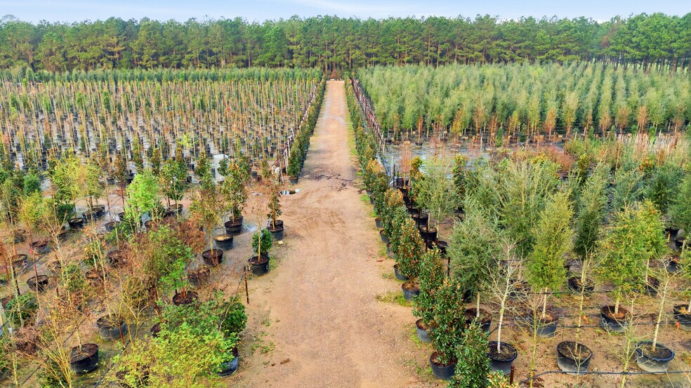 More Photos Of 28287 Hegar Rd, Hockley Land For Sale