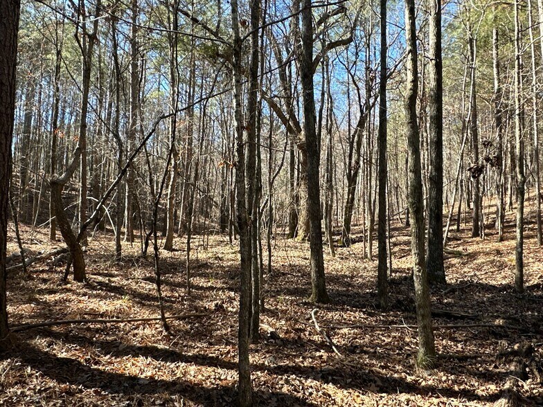 More Photos Of 3472 Prior Station Rd, Cedartown Land For Sale