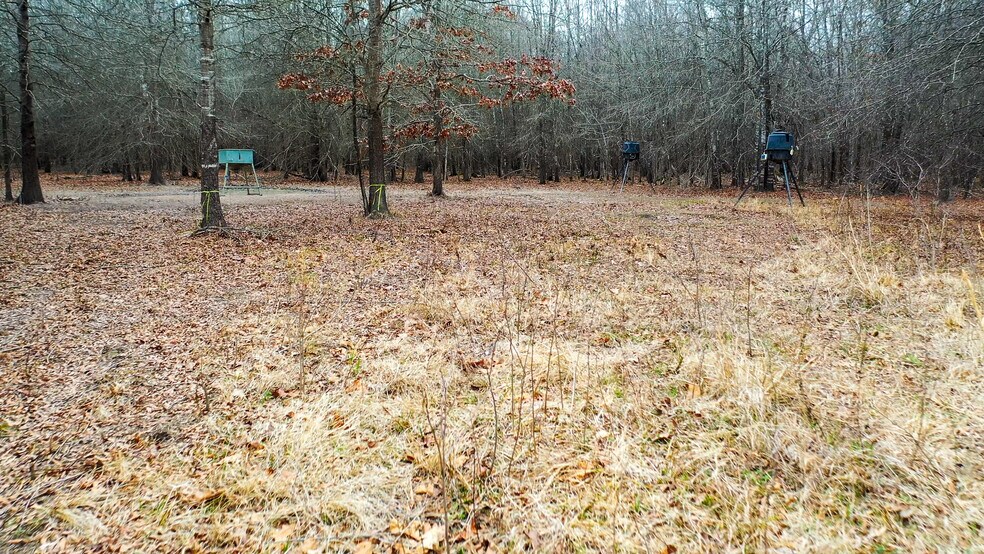 More Photos Of 1200 County 1255 rd, Detroit Land For Sale