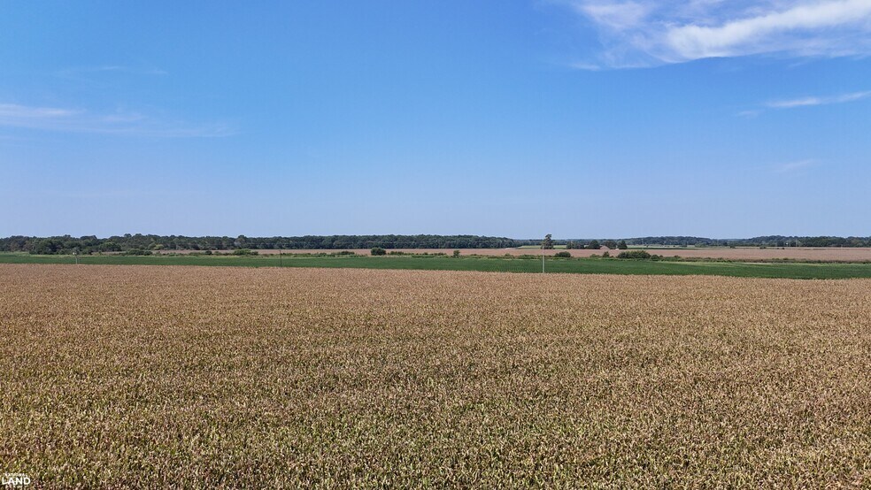 More Photos Of 1120 Highway 165 N, Stuttgart Land For Sale