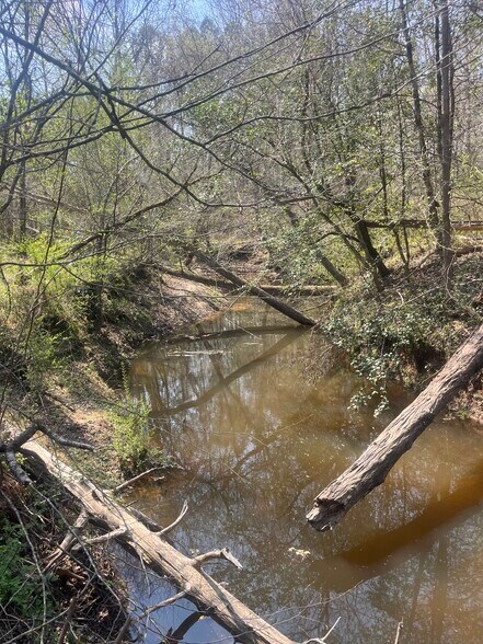 More Photos Of Healing Acres Ln, Carthage Land For Sale