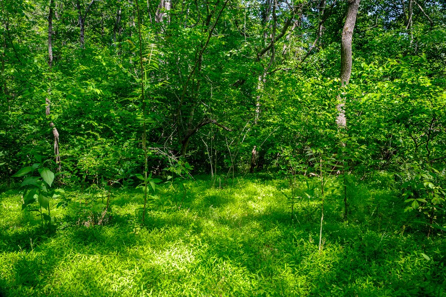 More Photos Of 1245 Carpenters Mill Rd, Ruckersville Land For Sale