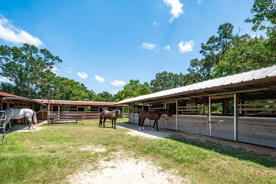 More Photos Of 16410 FM 1485 Rd, Conroe Veterinarian Kennel For Sale