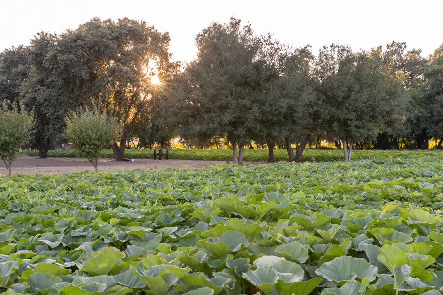 More Photos Of 0 Ragatz Lane, Napa Land For Sale