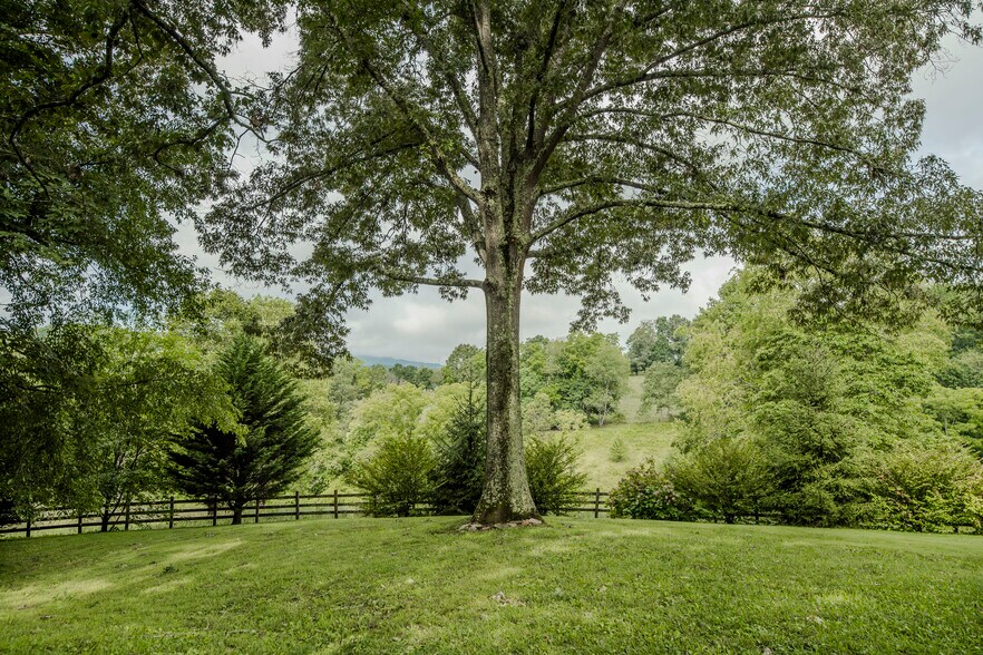 More Photos Of 305 Sluder Branch Rd, Leicester Land For Sale