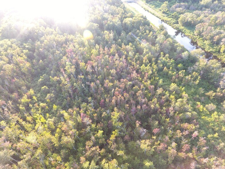 More Photos Of 0 HICKORY Lane W, Winter Haven Land For Sale