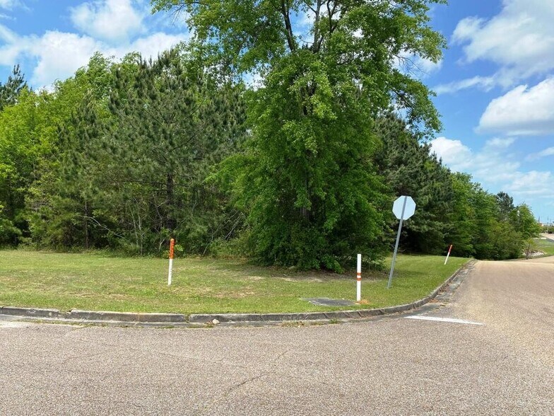 Primary Photo Of 000 41st Ave., Hattiesburg Land For Sale