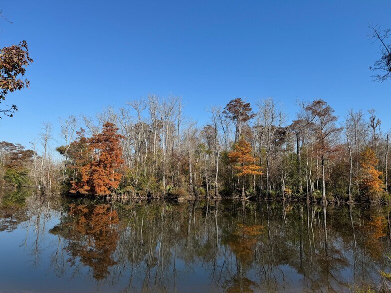 More Photos Of 2020 Becks Lake Rd, Cantonment Land For Sale