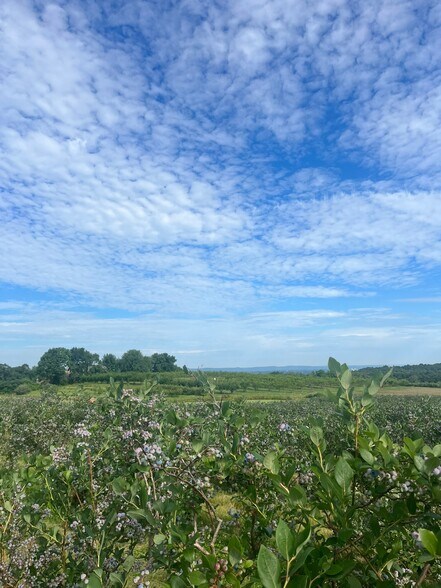 More Photos Of 280-300 Matson Hill Rd, South Glastonbury Land For Sale