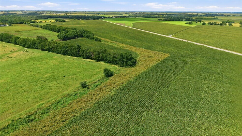 More Photos Of County Road 319, Granger Land For Sale