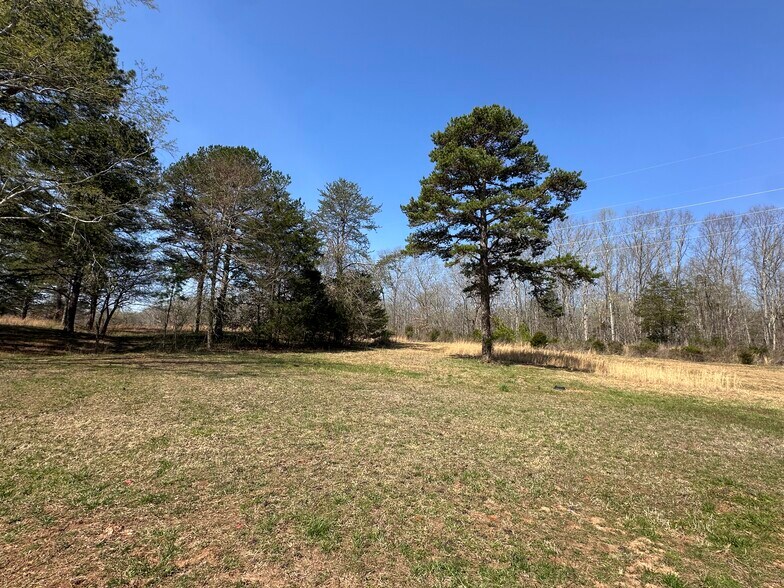 More Photos Of 7312 Highway 60, Georgetown Land For Sale