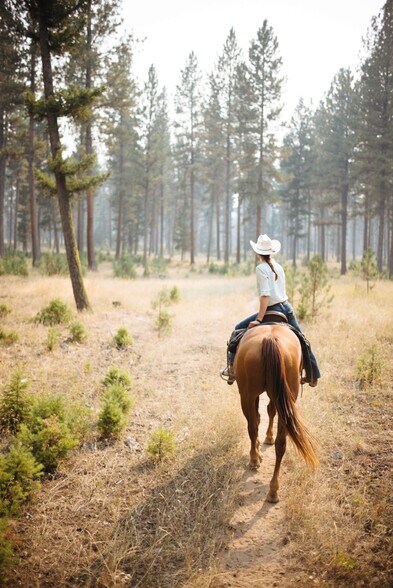 More Photos Of 34300 Holcomb Valley Rd, Fawnskin Land For Sale