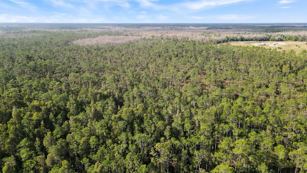 More Photos Of TBD SW Warfield Rd, Indiantown Land For Sale