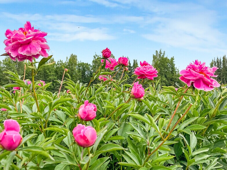 More Photos Of 38780 Longmere Way, Soldotna Hospitality For Sale