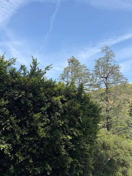 More Photos Of 265 Encino, Oak View Land For Sale