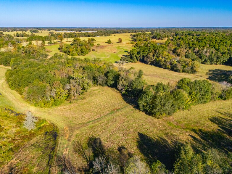 More Photos Of 391 Farm to Market 1519, Scroggins Land For Sale
