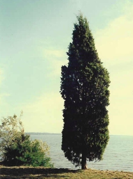 More Photos Of Chopawamsic Island, Quantico Land For Sale