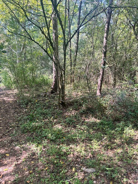 More Photos Of 7330 Frix Rd, Cumming Land For Sale