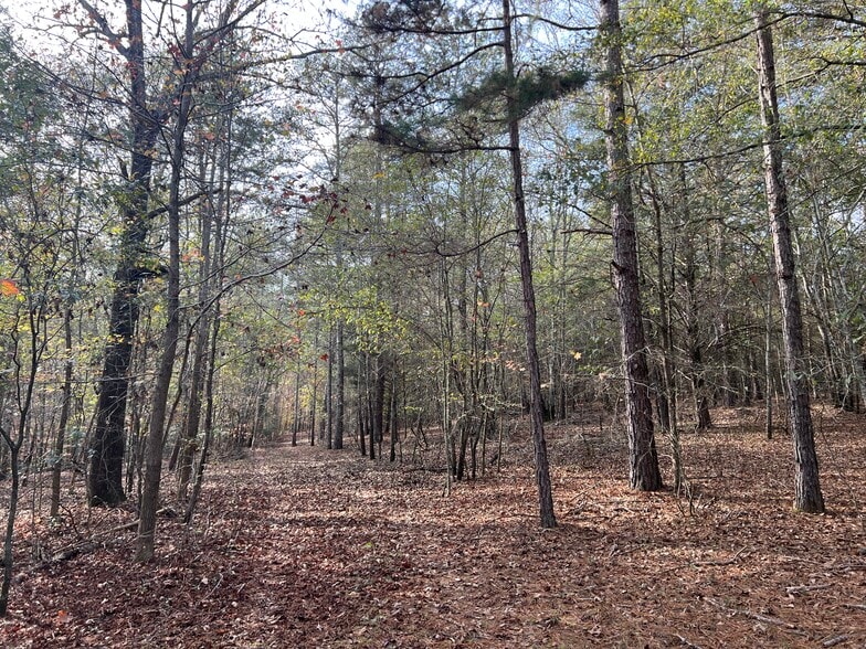 More Photos Of 0 Dickson Dr, Danielsville Land For Sale