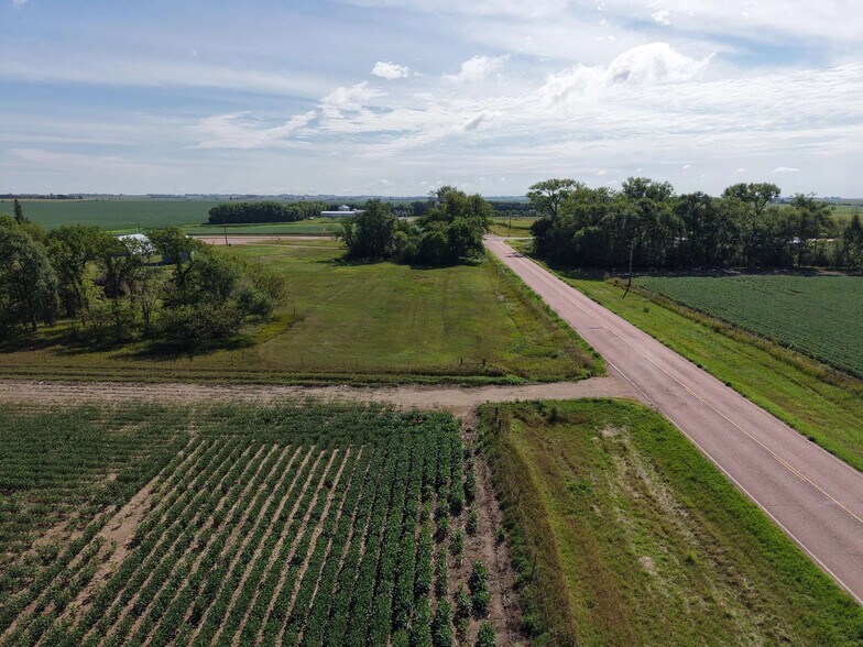 More Photos Of 29393 US Highway 81, Irene Land For Sale
