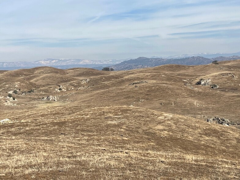 More Photos Of Hwy 41, O Neals Land For Sale