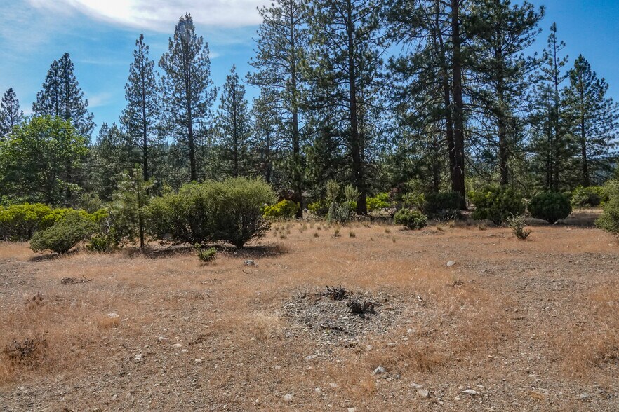 More Photos Of 4912 Kidder Creek Loop, Etna Land For Sale