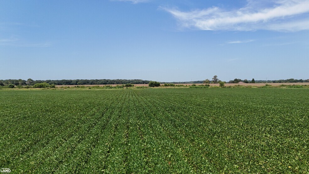 More Photos Of 1120 Highway 165 N, Stuttgart Land For Sale