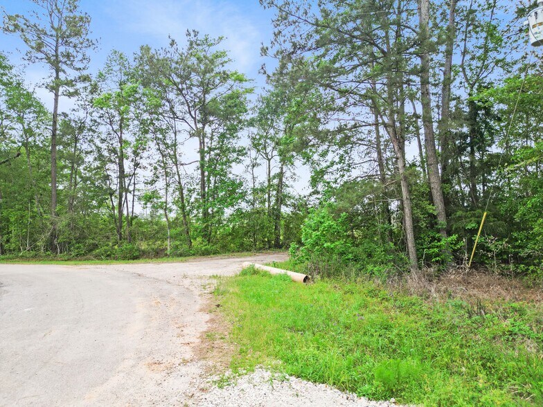 More Photos Of 19399 Highway 105, Cleveland Land For Sale