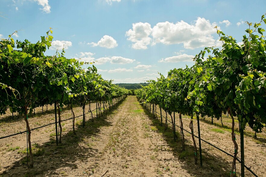More Photos Of 6000 Tucker Dr, Weatherford Winery Vineyard For Sale
