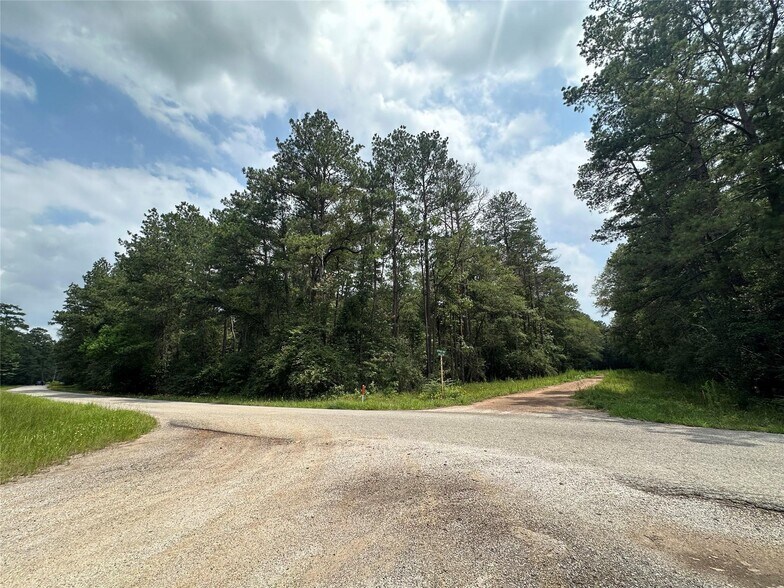 More Photos Of 19&20 Appian Way, New Caney Land For Sale