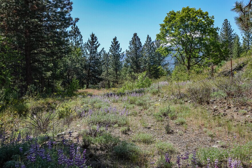 More Photos Of 10800 South Hwy 3 hwy, Callahan Land For Sale