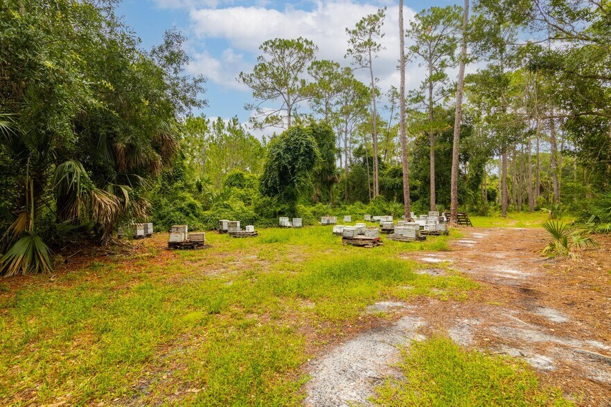 More Photos Of 651 Ingham Rd, New Smyrna Beach Land For Sale