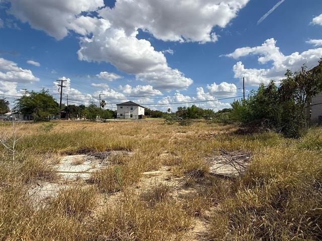 More Photos Of Canada & O'Kane, Laredo Land For Sale