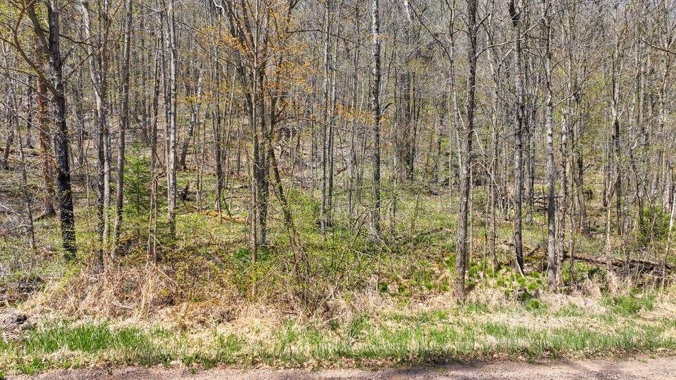 More Photos Of N Gueldner Lane, Exeland Land For Sale