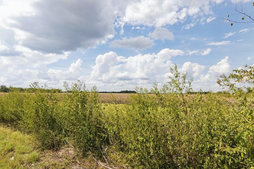 More Photos Of 0 Farm to Market Road 1236, Needville Land For Sale