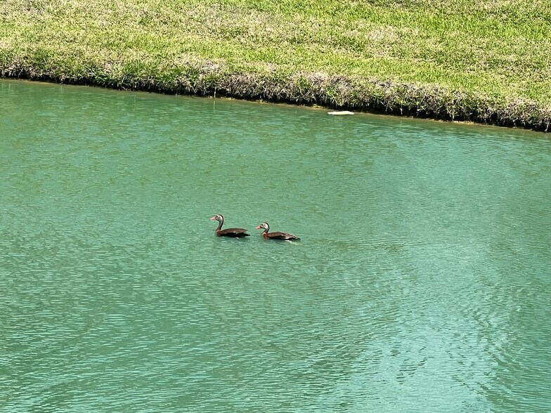 More Photos Of 5501-5529 Louetta Rd, Spring Unknown For Lease