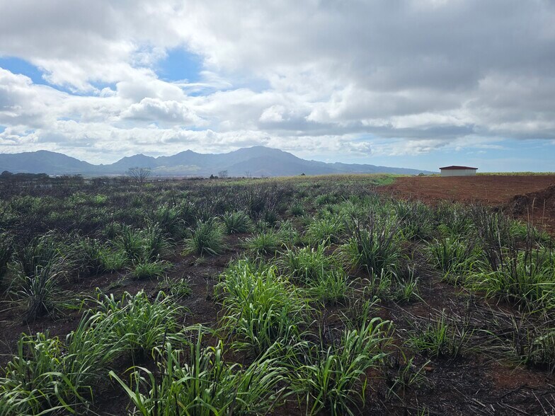 More Photos Of 64-1320 Kamehameha hwy, Wahiawa Land For Sale