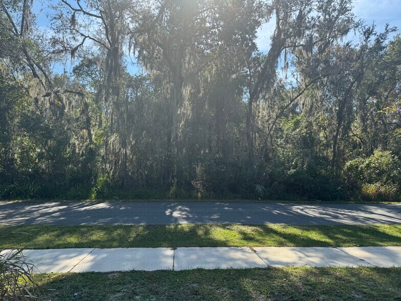 More Photos Of Franklin St, Oviedo Land For Sale
