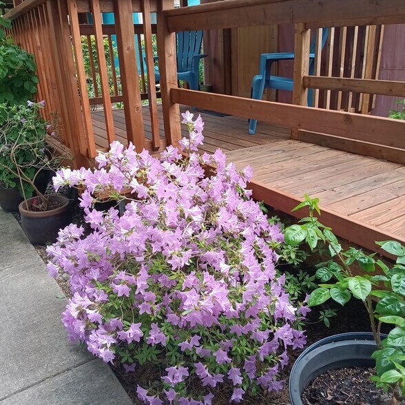 More Photos Of 87991 Territorial Rd, Veneta Hospitality For Sale