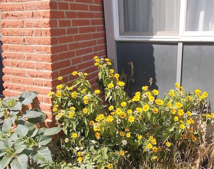 More Photos Of 20 W 3rd St, Havre Apartments For Sale