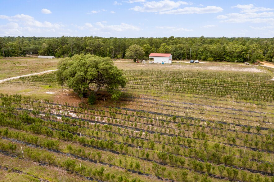More Photos Of 130 Strawberry ln, Pomona Park Land For Sale