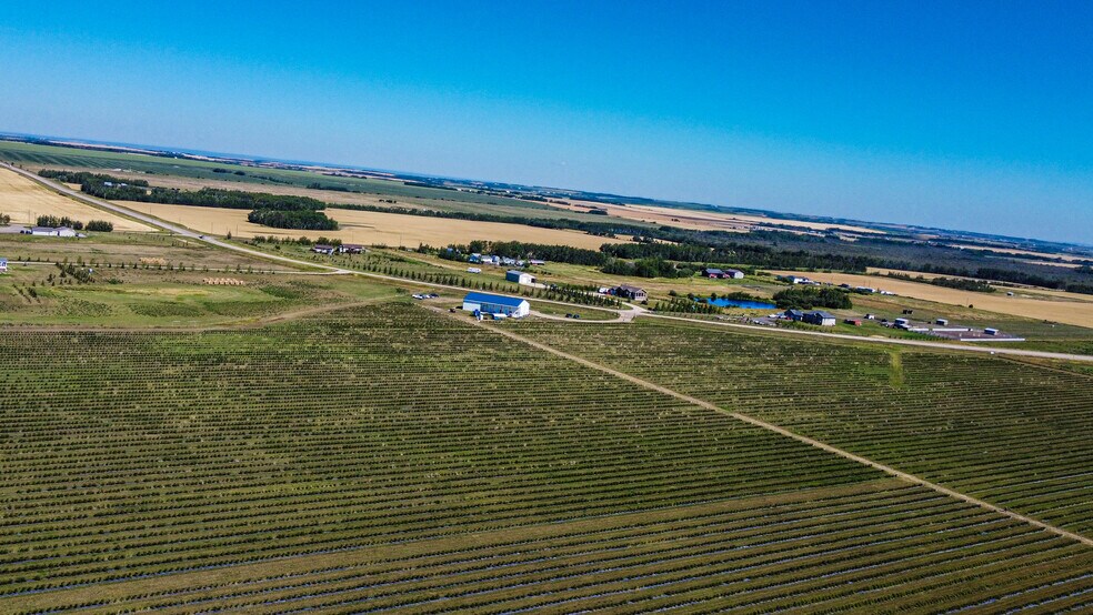 More Photos Of 705068 82 -1, Wembley General Retail For Sale