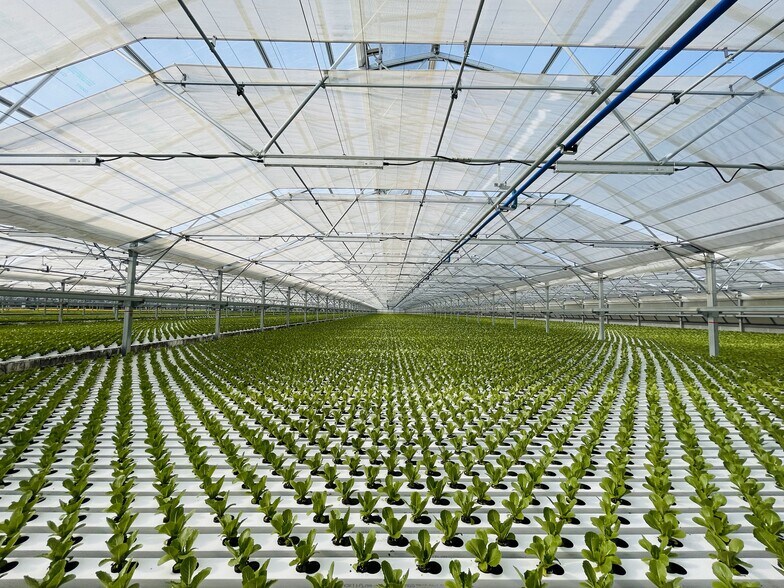 More Photos Of 1930 Lemon Ave, Patterson Food Processing For Sale