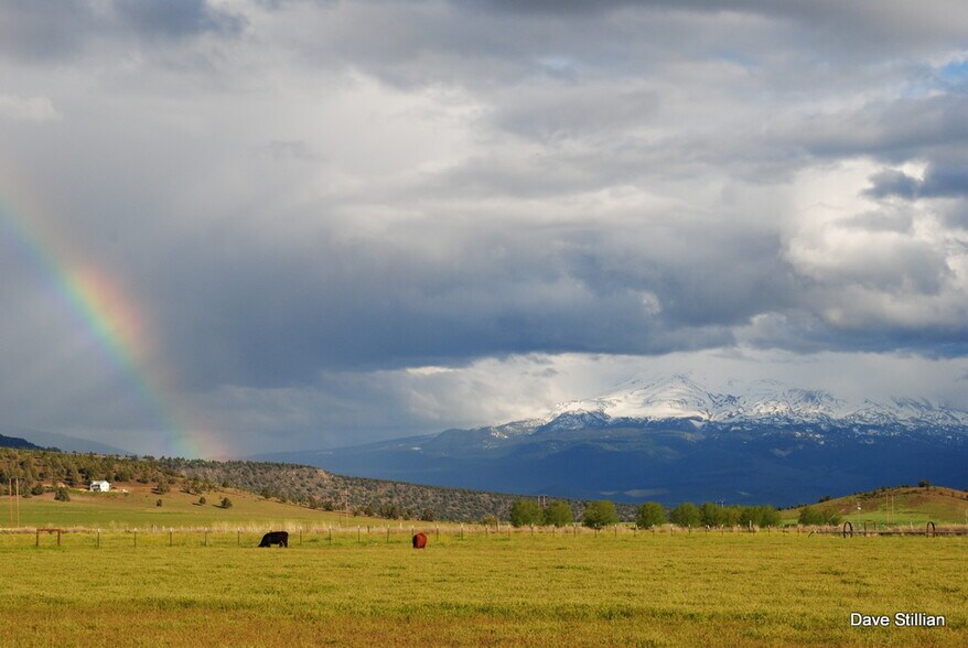 More Photos Of 3104 Harry Cash Rd, Montague Land For Sale
