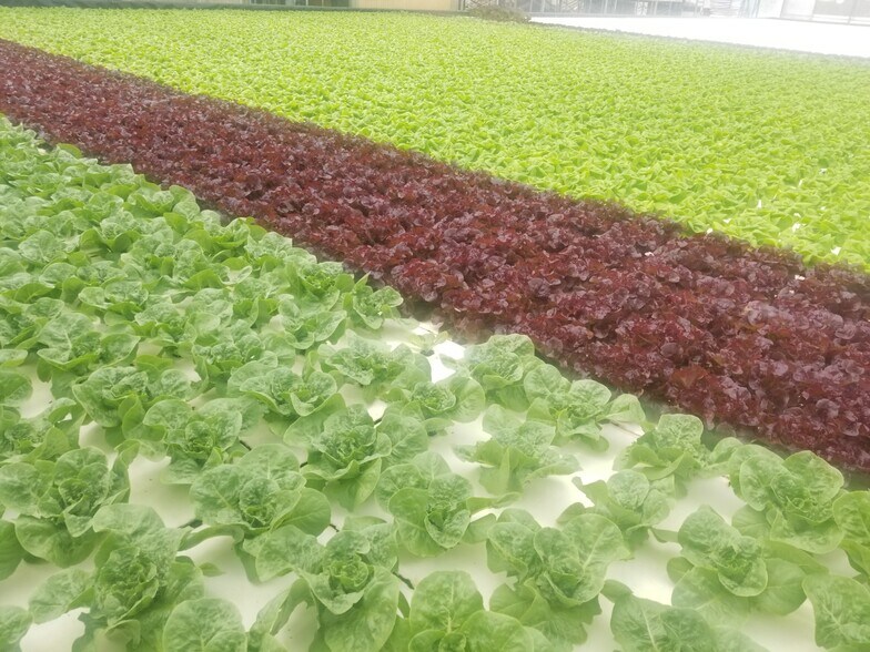 More Photos Of 4525 Cloverdale Rd, Pescadero Land For Sale