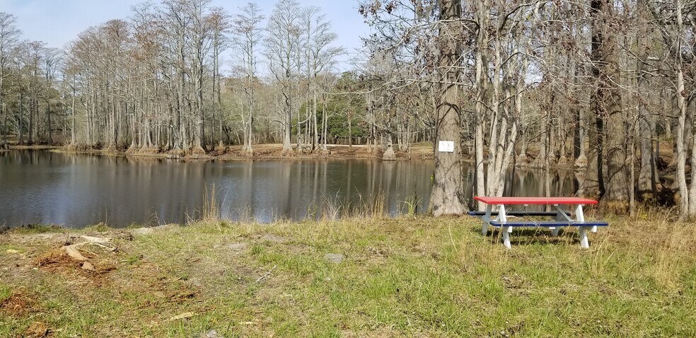 More Photos Of 16001 Highway 17, Hampstead Land For Sale